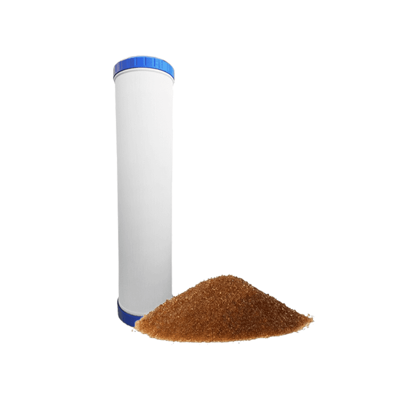 Scatola 2 filtri Swan AICRO 10"