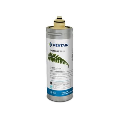 Filtro Everpure H54 973006