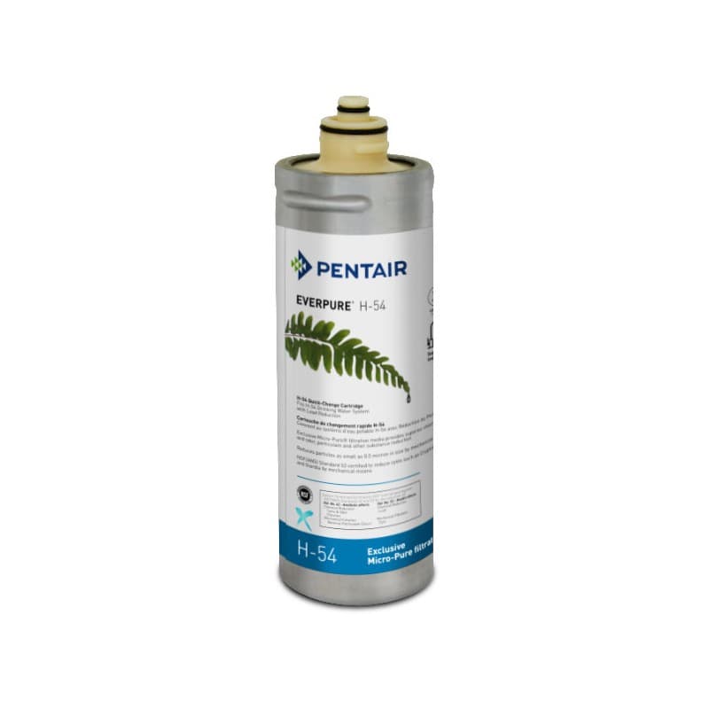 Filtro Everpure H54 973006