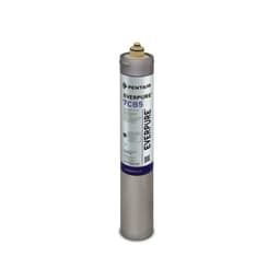 Filtro Everpure 7CB5 - EV9618-11 - Vista 1