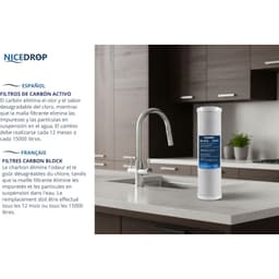 NICEDROP Carbon Block CTO 10“ 5 Micron - Vista 4