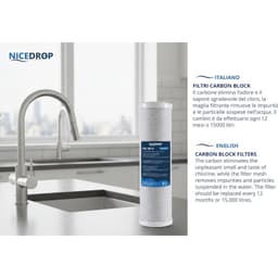 NICEDROP Carbon Block CTO 10“ 5 Micron - Vista 8