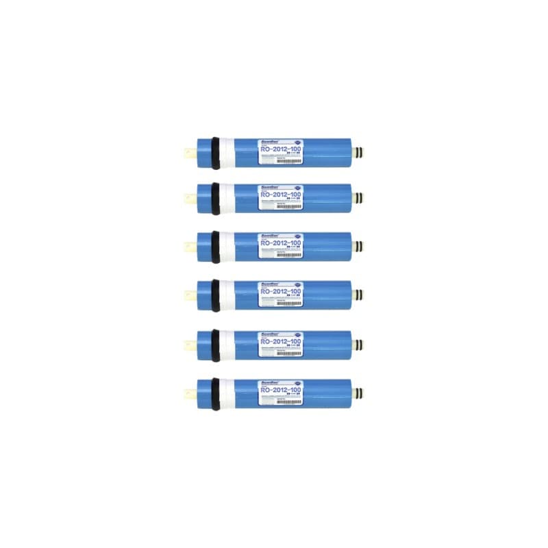 Scatola da 6 pezzi membrana SWAN 2012 - 100GDP