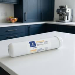 Scatola 6 filtri in linea Swan 12" carbone + Ag - Vista 11