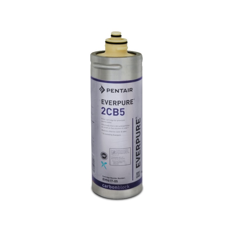 Filtro Everpure 2CB5 - EV9614-05