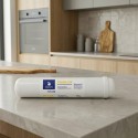 Filtro in linea Swan 12" carbone + resine - F5686/C-R - Vista 2