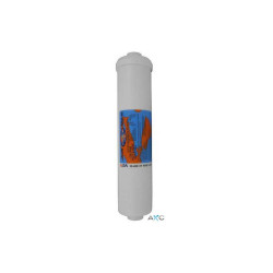 Filtro K5530 CC In line 10"x2,5" GAC + Ag
