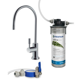 Kit di filtrazione Everpure H54 Start