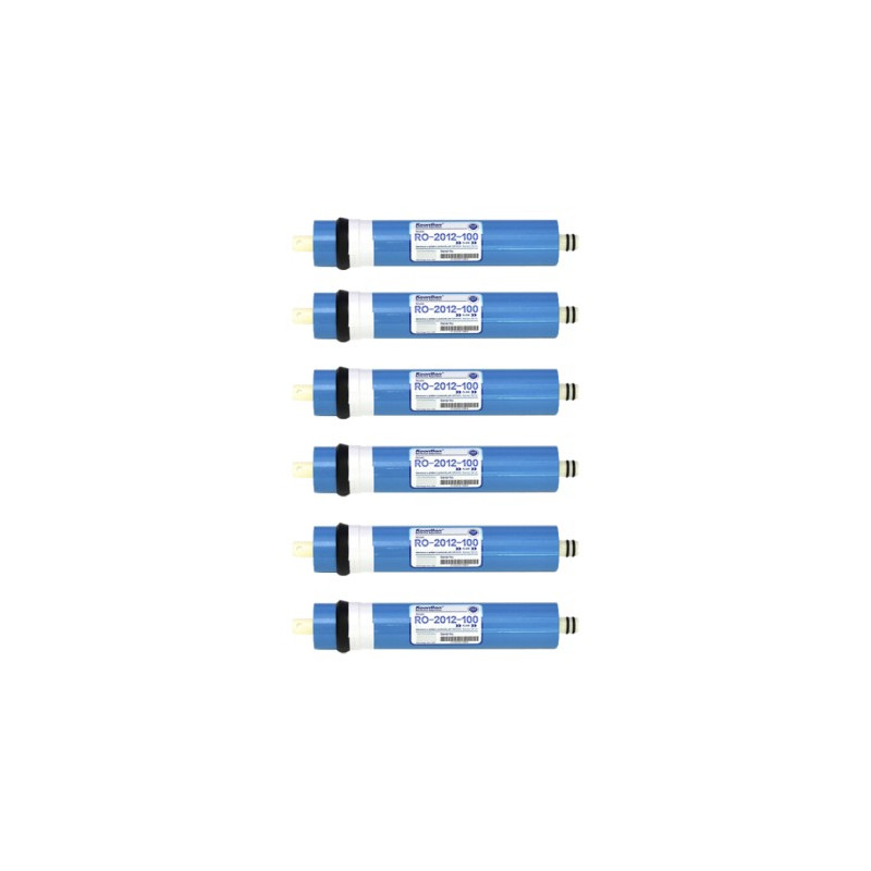 Scatola da 6 pezzi membrana SWAN 2012 - 100GDP