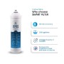 Smart Filter cto 5 micron Swan - Vista 2